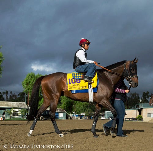 breeders-cup-2013-a-photographic-look-back-daily-racing-form
